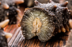 年终礼赠与冬季滋补观察:有机鲜炖海参何以成为健康消费的优选?