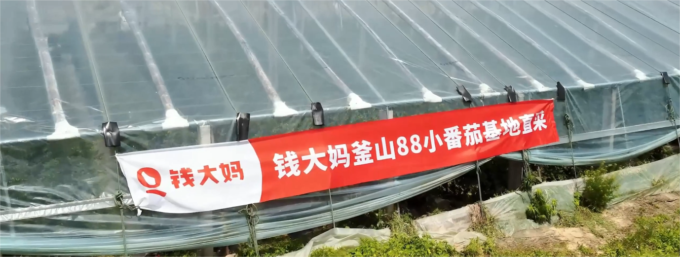 1716515447974408.png 1716515447974408.png