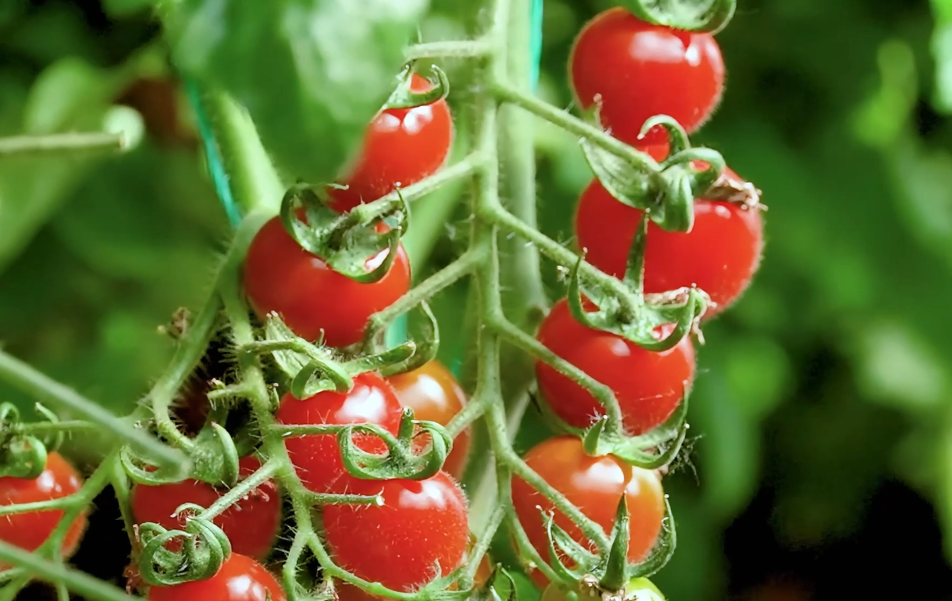 1716515344408359.png 1716515344408359.png